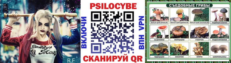 Галлюциногенные грибы GOLDEN TEACHER  где купить   kraken как войти  Хадыженск 